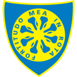 carraresi logo editor