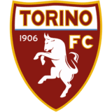 torino logo editor